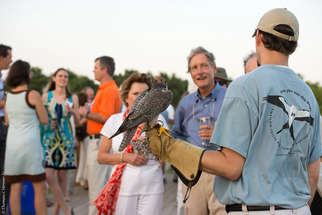 Awendaw's Avian Conservation Center celebrates 30 years of rescuing and  rehabbing birds of prey, Charleston SC