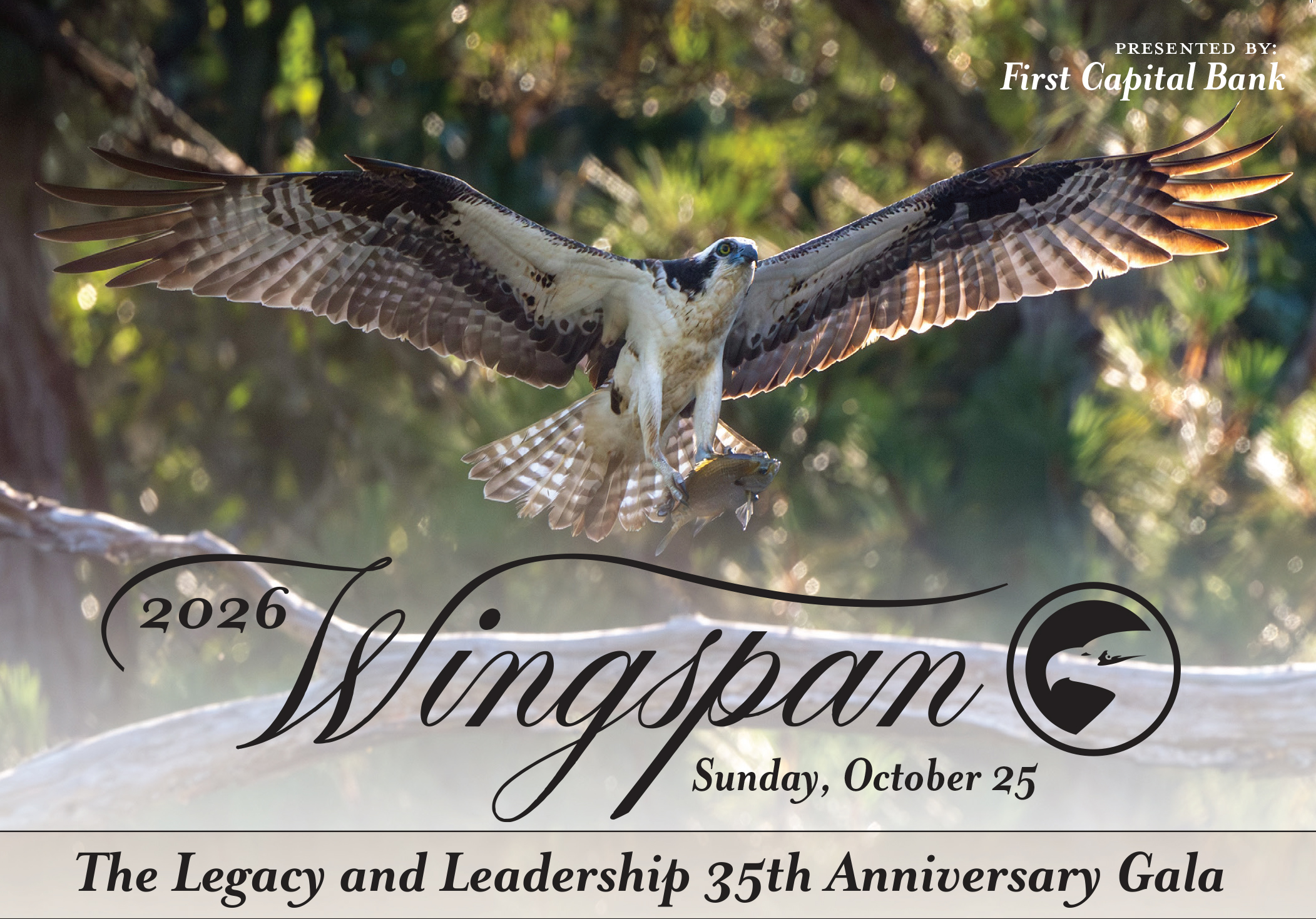 mainheader_wingspan26